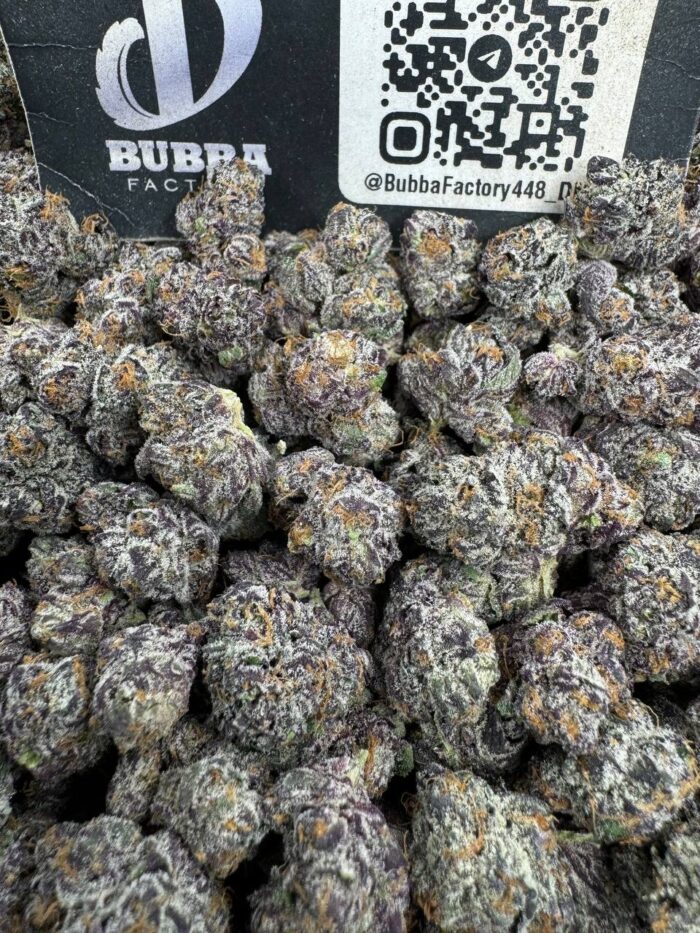 Animal Tsunami Smalls